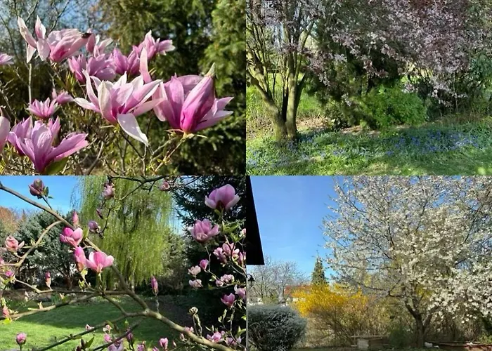 7 Bedroom Secluded Close To Prague * Říčany